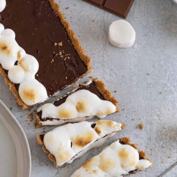 rectangle chocolate tart cut into triangles with toasted marshmallow on top