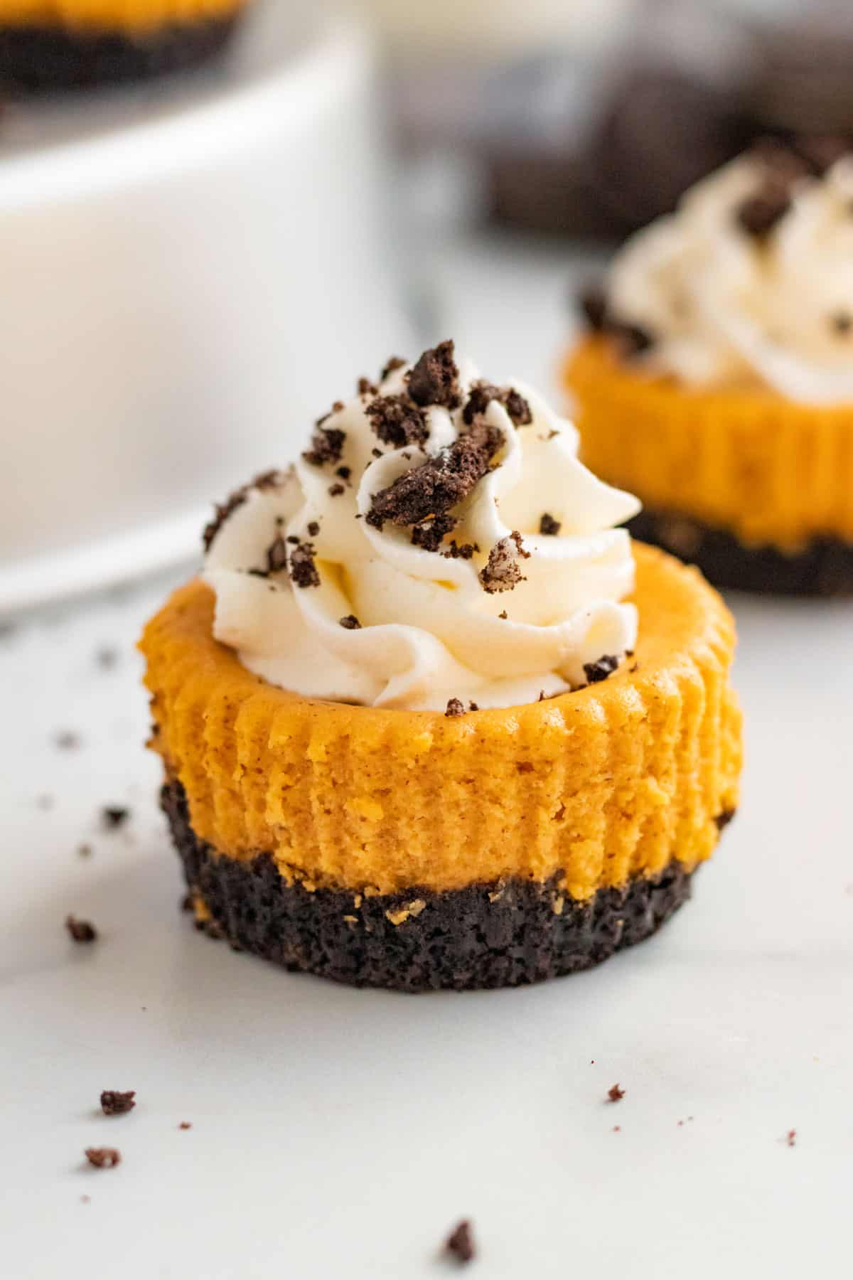 a mini pumpkin cheesecake with whipped cream and cookie crumbs 