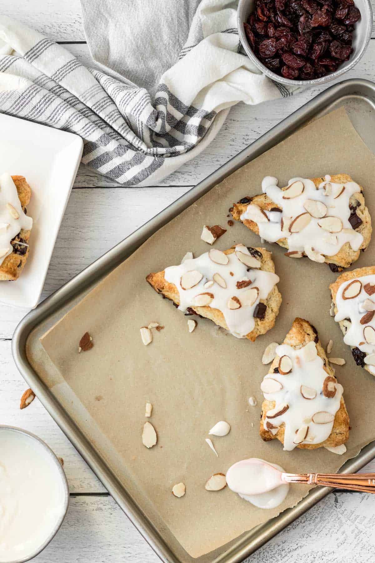 overhead view of chocolate cherry almond scones on a baking sheet with a kitchen towel and white plate with a scone next to it