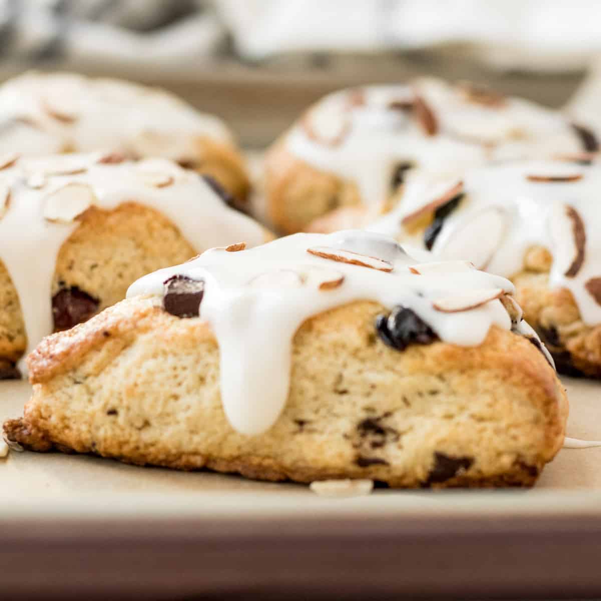 chocolate cherry almond scone with almond glaze one a baking sheet