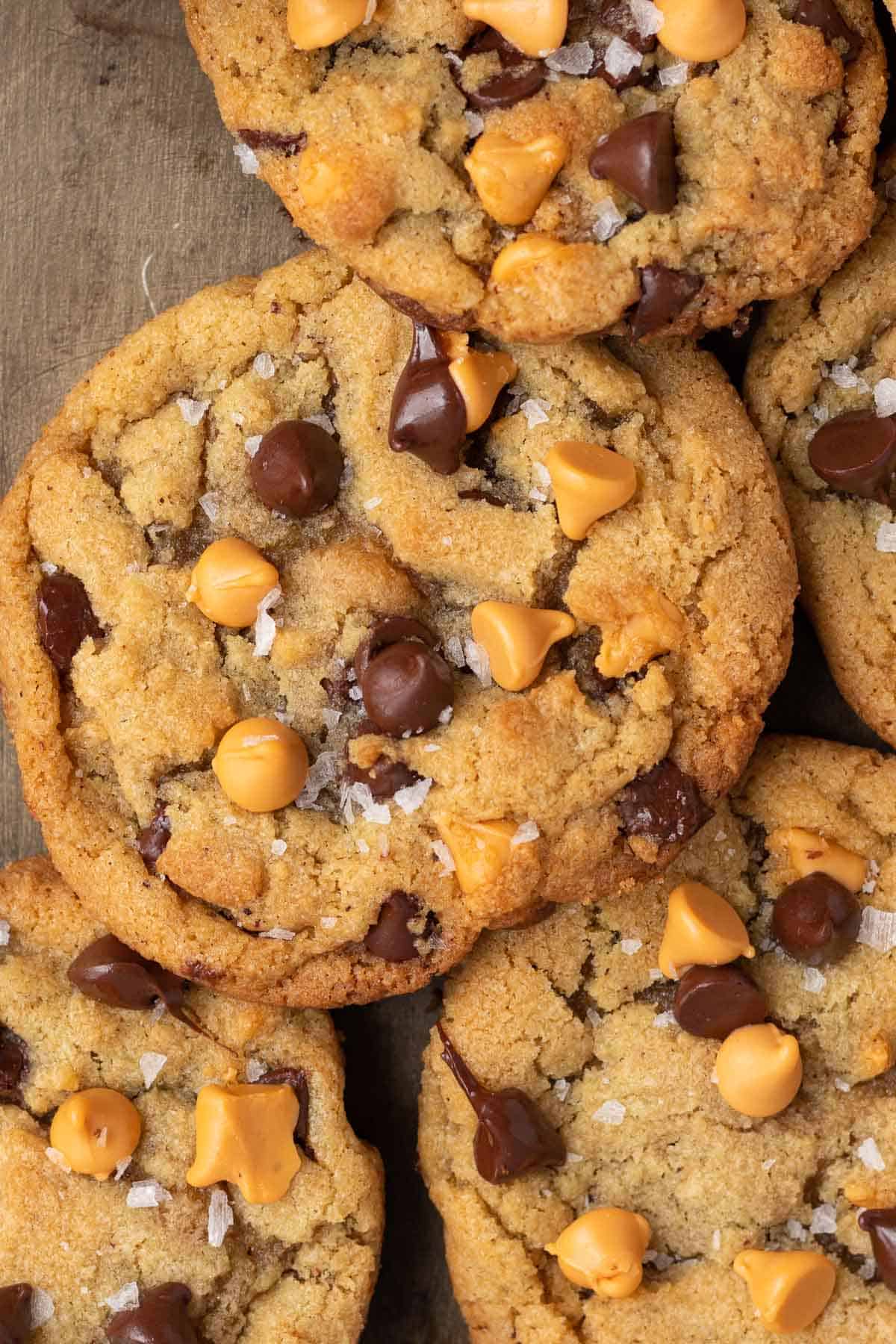 Close up of a chocolate chip butterscotch cookie with sprinkles of sea salt on top